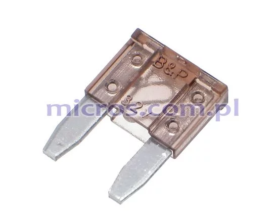 10303 5A B&P Auto Fuse